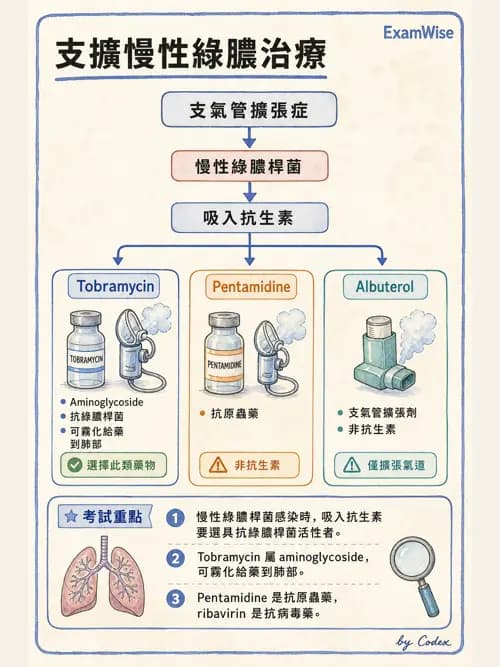 呼吸治療師 - 藥理學概論與抗感染藥物 - AI 圖文解析預覽