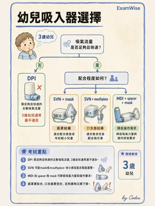 呼吸治療師 - 呼吸系統藥物 - AI 圖文解析預覽