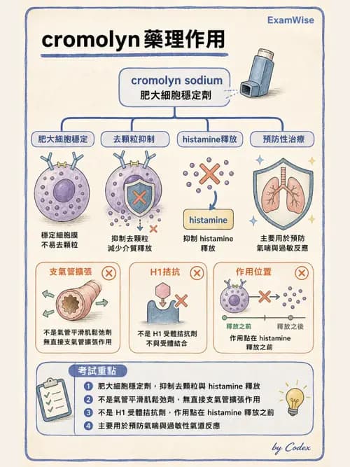 呼吸治療師 - 呼吸系統藥物 - AI 圖文解析預覽