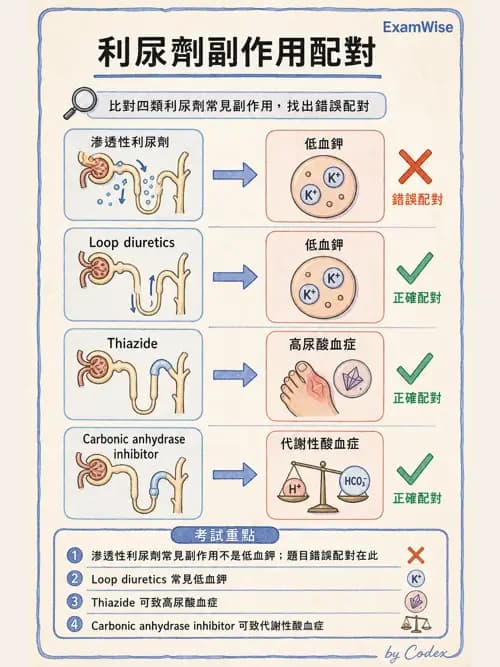 呼吸治療師 - 心臟血管藥物 - AI 圖文解析預覽