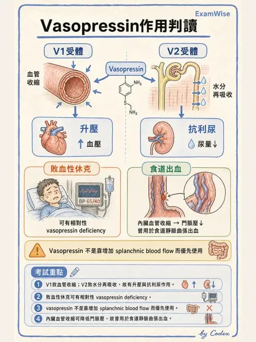 呼吸治療師 - 心臟血管藥物 - AI 圖文解析預覽
