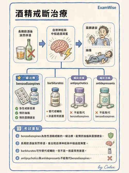 呼吸治療師 - 神經系統藥物 - AI 圖文解析預覽