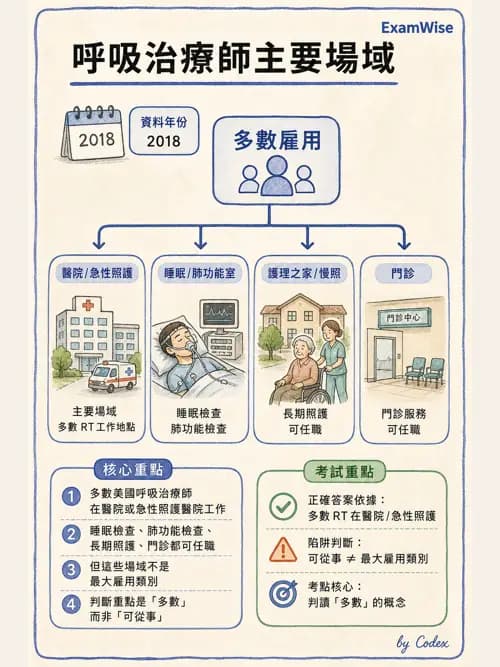 呼吸治療師 - 呼吸治療演進與角色 - AI 圖文解析預覽