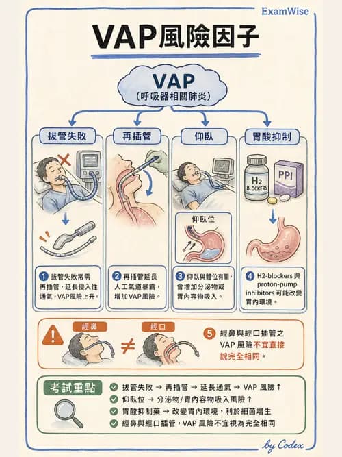 呼吸治療師 - 感染管制與職業安全 - AI 圖文解析預覽