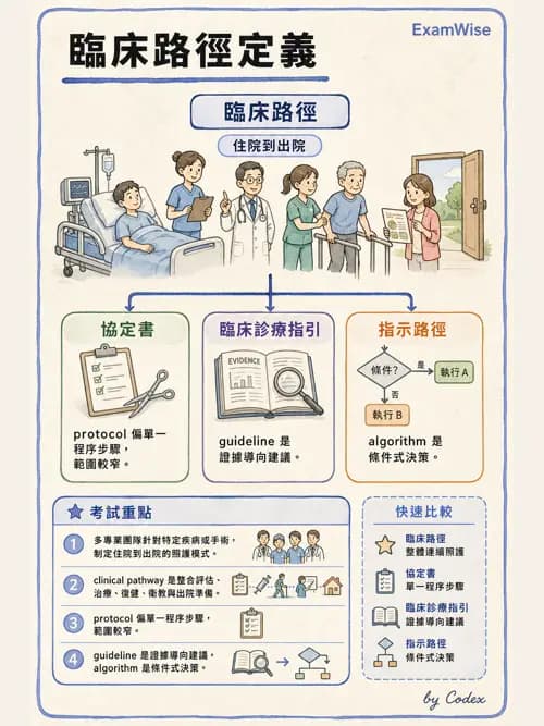 呼吸治療師 - 呼吸治療臨床作業與身體評估 - AI 圖文解析預覽