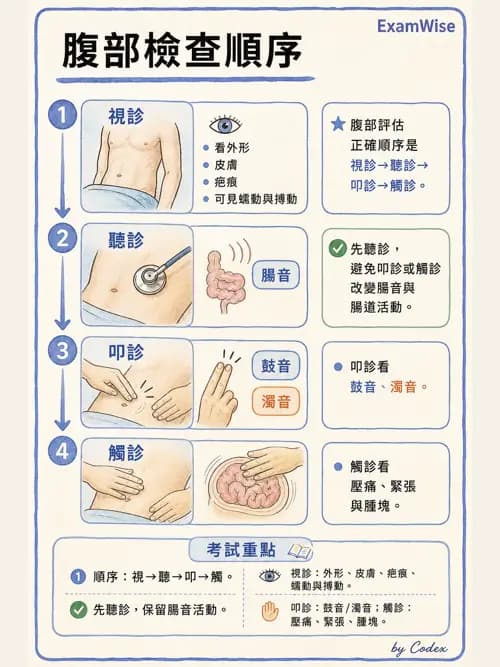 呼吸治療師 - 呼吸治療臨床作業與身體評估 - AI 圖文解析預覽