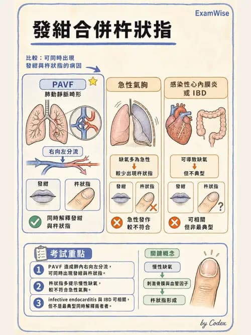 呼吸治療師 - 呼吸治療臨床作業與身體評估 - AI 圖文解析預覽