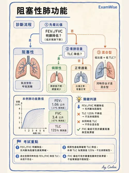 呼吸治療師 - 呼吸功能檢查 - AI 圖文解析預覽