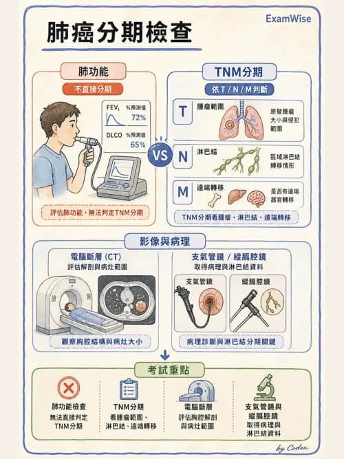 呼吸治療師 - 呼吸功能檢查 - AI 圖文解析預覽