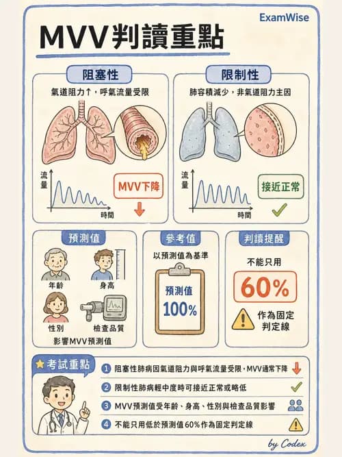 呼吸治療師 - 呼吸功能檢查 - AI 圖文解析預覽