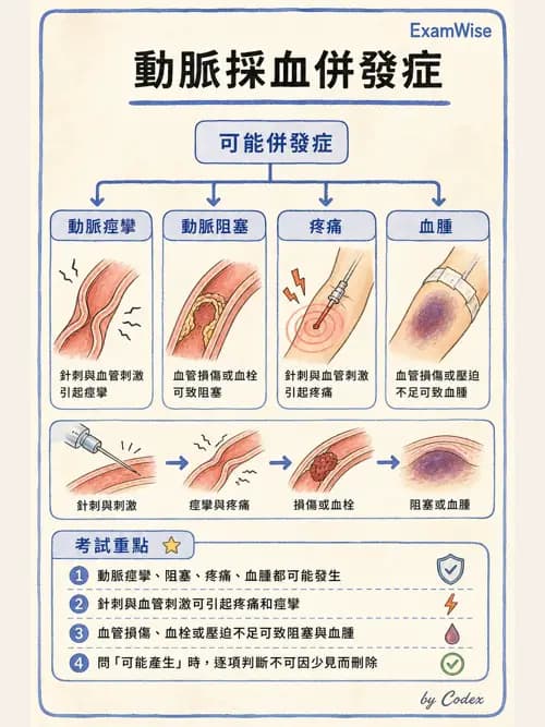 呼吸治療師 - 動脈血液氣體分析與氧合評估 - AI 圖文解析預覽