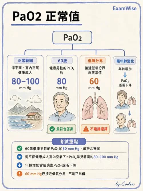 呼吸治療師 - 動脈血液氣體分析與氧合評估 - AI 圖文解析預覽