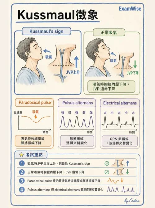 呼吸治療師 - 心血管評估與實驗室檢查 - AI 圖文解析預覽