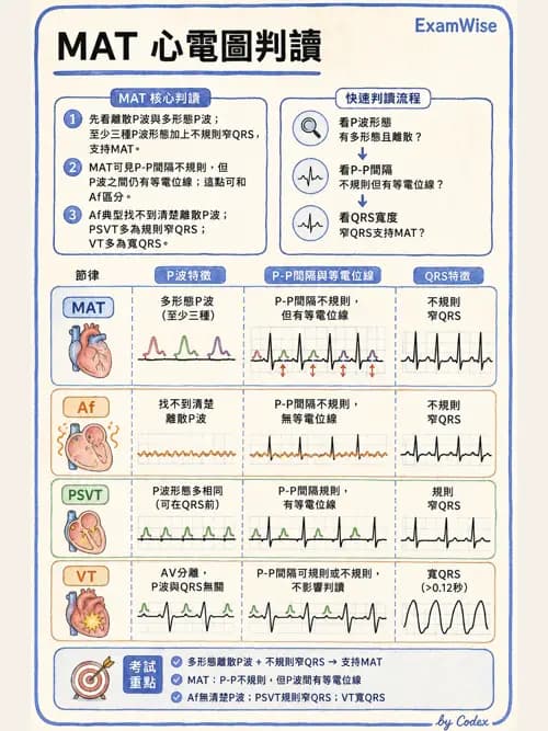 呼吸治療師 - 心血管評估與實驗室檢查 - AI 圖文解析預覽