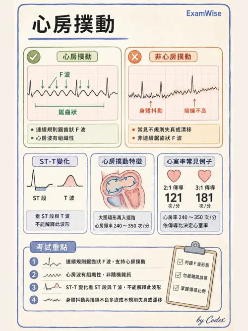 呼吸治療師 - 心血管評估與實驗室檢查 - AI 圖文解析預覽