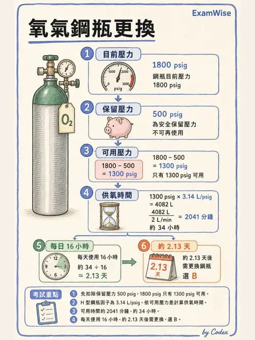 呼吸治療師 - 氣體輸送系統與氧氣治療 - AI 圖文解析預覽