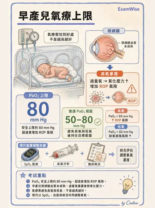 呼吸治療師 - 氣體輸送系統與氧氣治療 - AI 圖文解析預覽