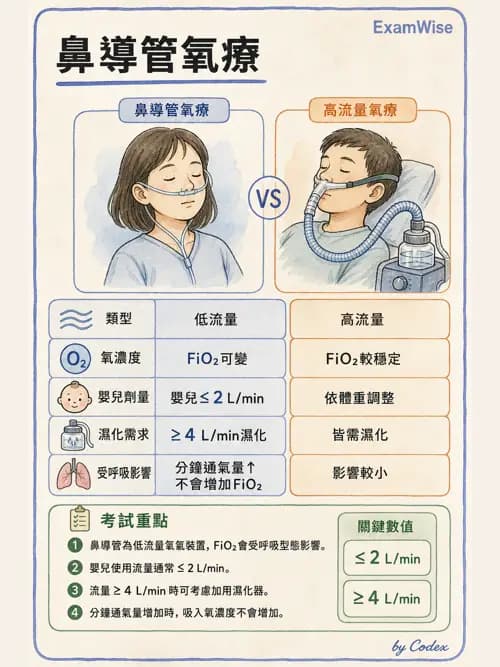 呼吸治療師 - 氣體輸送系統與氧氣治療 - AI 圖文解析預覽