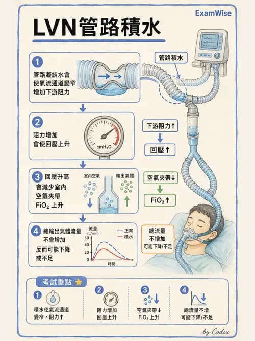 呼吸治療師 - 氣體輸送系統與氧氣治療 - AI 圖文解析預覽