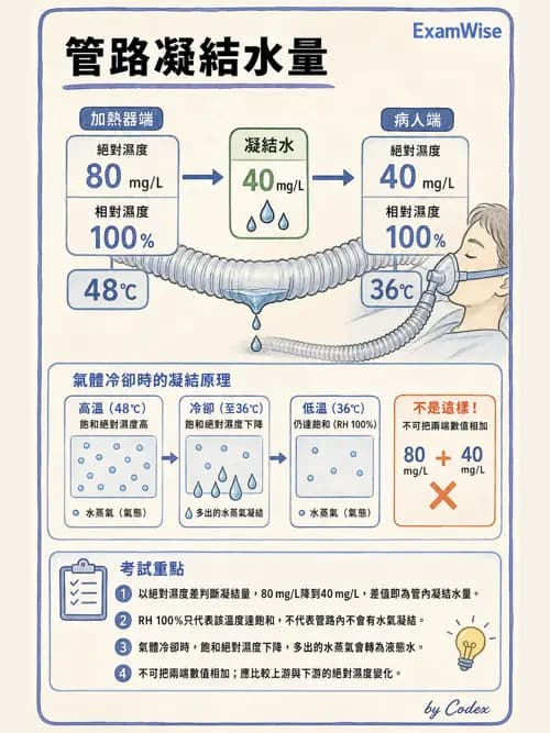 呼吸治療師 - 濕氣與霧氣治療 - AI 圖文解析預覽