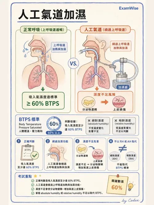 呼吸治療師 - 濕氣與霧氣治療 - AI 圖文解析預覽