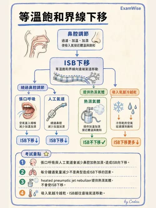 呼吸治療師 - 濕氣與霧氣治療 - AI 圖文解析預覽