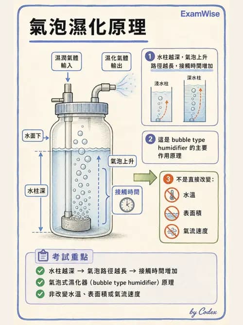 呼吸治療師 - 濕氣與霧氣治療 - AI 圖文解析預覽