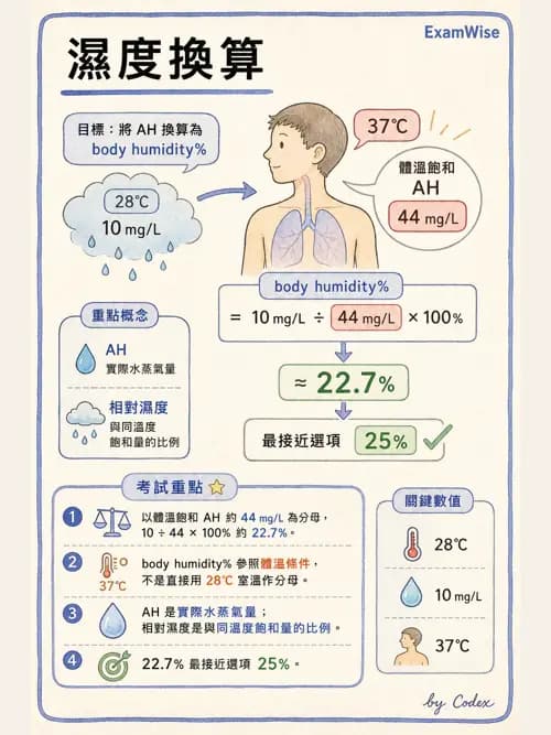 呼吸治療師 - 濕氣與霧氣治療 - AI 圖文解析預覽