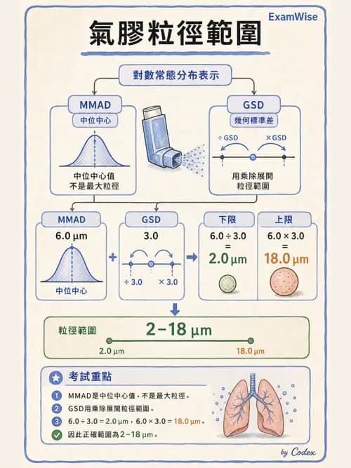 呼吸治療師 - 濕氣與霧氣治療 - AI 圖文解析預覽