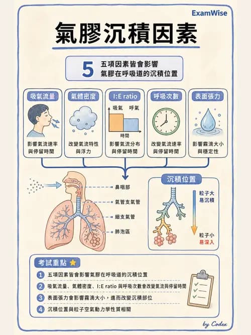 呼吸治療師 - 濕氣與霧氣治療 - AI 圖文解析預覽