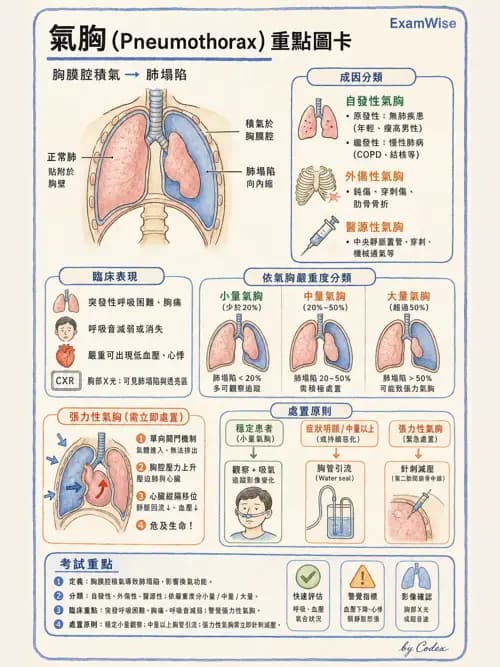呼吸治療師 - 痰液清除與擴張治療 - AI 圖文解析預覽