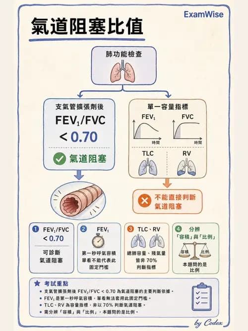 呼吸治療師 - 呼吸功能檢查 - AI 圖文解析預覽
