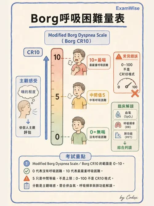 呼吸治療師 - 呼吸治療臨床作業與身體評估 - AI 圖文解析預覽