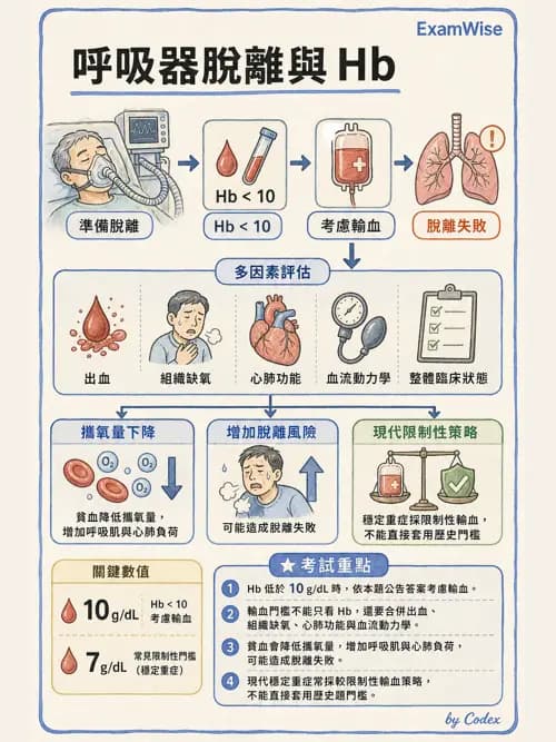呼吸治療師 - 長期呼吸照護 - AI 圖文解析預覽