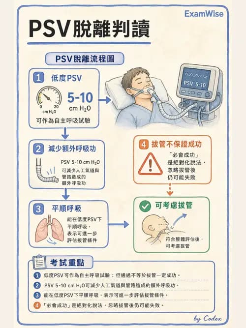 呼吸治療師 - 長期呼吸照護 - AI 圖文解析預覽