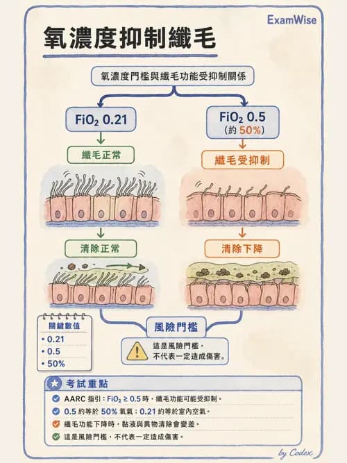 呼吸治療師 - 氣體輸送系統與氧氣治療 - AI 圖文解析預覽