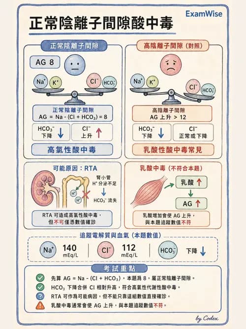 呼吸治療師 - 動脈血液氣體分析與氧合評估 - AI 圖文解析預覽