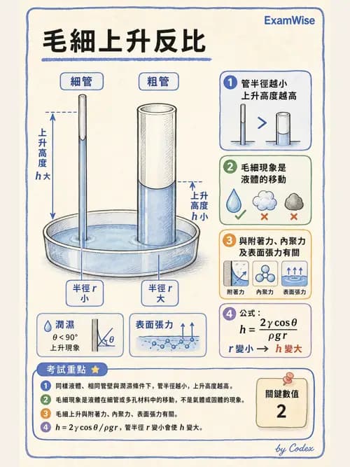 呼吸治療師 - 氣體物理學 - AI 圖文解析預覽