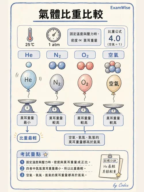 呼吸治療師 - 氣體物理學 - AI 圖文解析預覽