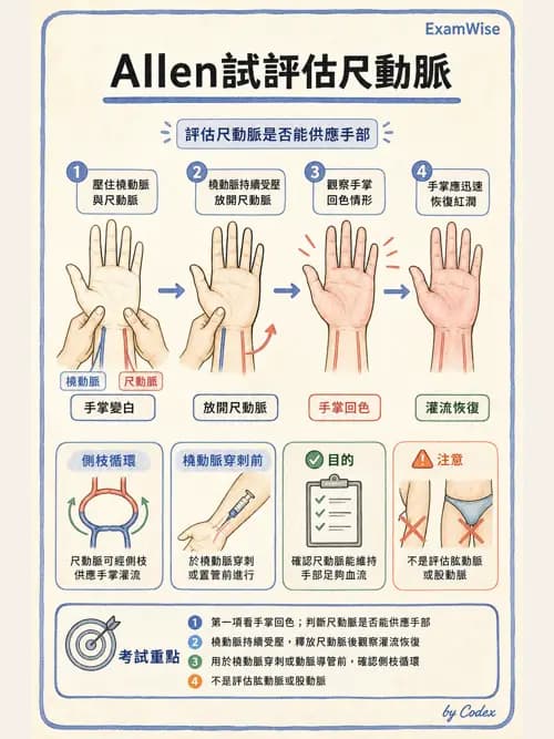 呼吸治療師 - 動脈血氣體分析設備 - AI 圖文解析預覽