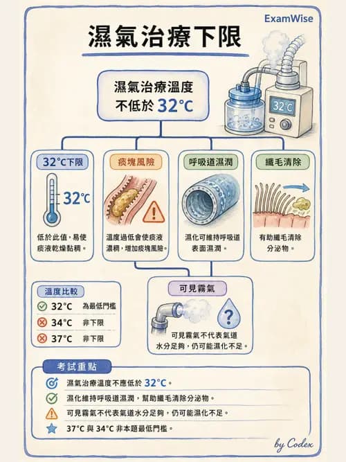 呼吸治療師 - 濕氣治療設備 - AI 圖文解析預覽
