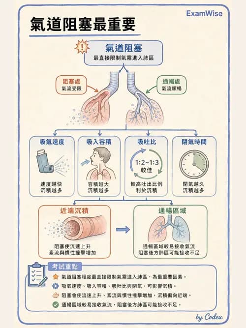呼吸治療師 - 吸入性藥物噴霧設備 - AI 圖文解析預覽