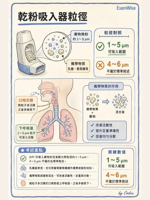 呼吸治療師 - 吸入性藥物噴霧設備 - AI 圖文解析預覽