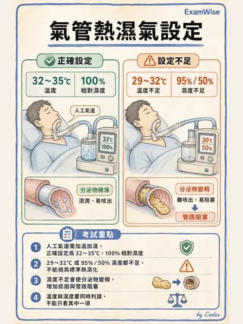 呼吸治療師 - 濕氣治療設備 - AI 圖文解析預覽