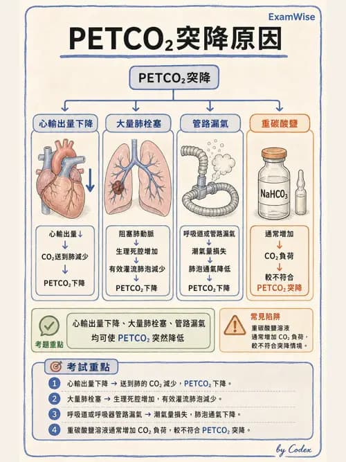 呼吸治療師 - 非侵入性呼吸監測設備 - AI 圖文解析預覽