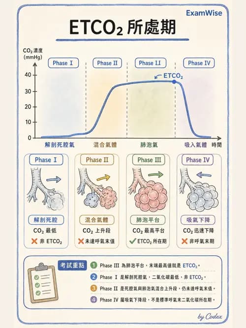 呼吸治療師 - 非侵入性呼吸監測設備 - AI 圖文解析預覽