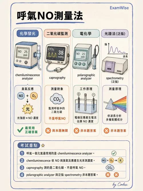呼吸治療師 - 非侵入性呼吸監測設備 - AI 圖文解析預覽
