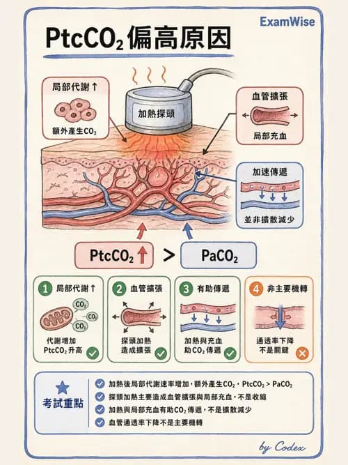 呼吸治療師 - 非侵入性呼吸監測設備 - AI 圖文解析預覽
