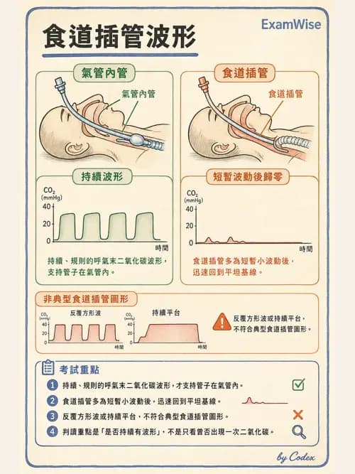 呼吸治療師 - 非侵入性呼吸監測設備 - AI 圖文解析預覽