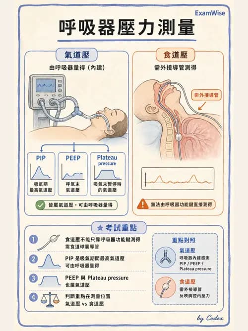 呼吸治療師 - 呼吸機械力學監測 - AI 圖文解析預覽